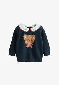 Neselectat, navy bear