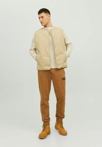 Jack & Jones JJIGORDON JJNEWSOFT NOOS - Pantalones deportivos - otter