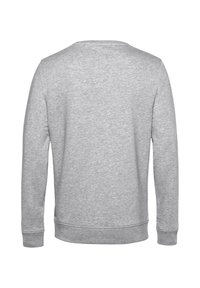 Grijze sweatshirt, ronde hals, lange mouwen, zacht materiaal, geribde manchetten en zoom, geen patronen of versieringen. Eenvoudige achteraanzicht.