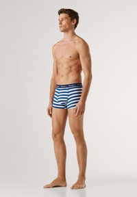 Modré a bílé proužkované boxerky s tmavě modrým pasem s názvem značky. Materiál vypadá měkký a elastický.