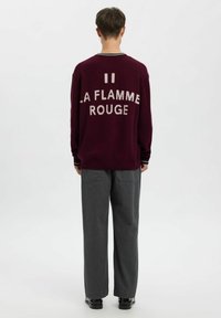 Annarr PULLOVER - Maglione - loganberry