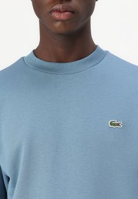 Felpa azzurra con scollo rotondo realizzata in morbido cotone, con un piccolo logo di coccodrillo ricamato sul lato sinistro del petto.