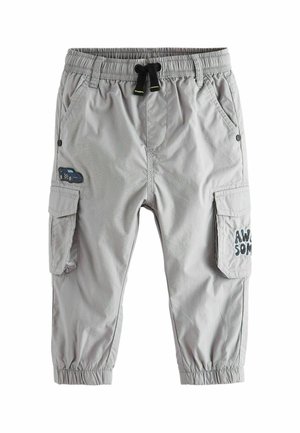 STANDARD - Cargobroek - grey badged