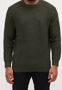 Olivgrön stickad tröja med ett strukturerat mönster, rundad halsringning och ribbade mudd och fåll, visad mot en neutral bakgrund.