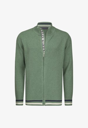 Cardigan lavorato a maglia verde con un motivo a texture, chiusura con zip e colletto alto. Presenta accenti a strisce in blu scuro e verde chiaro.