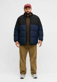 Jack & Jones JJMAZE PLS - Wintermantel - sky captain