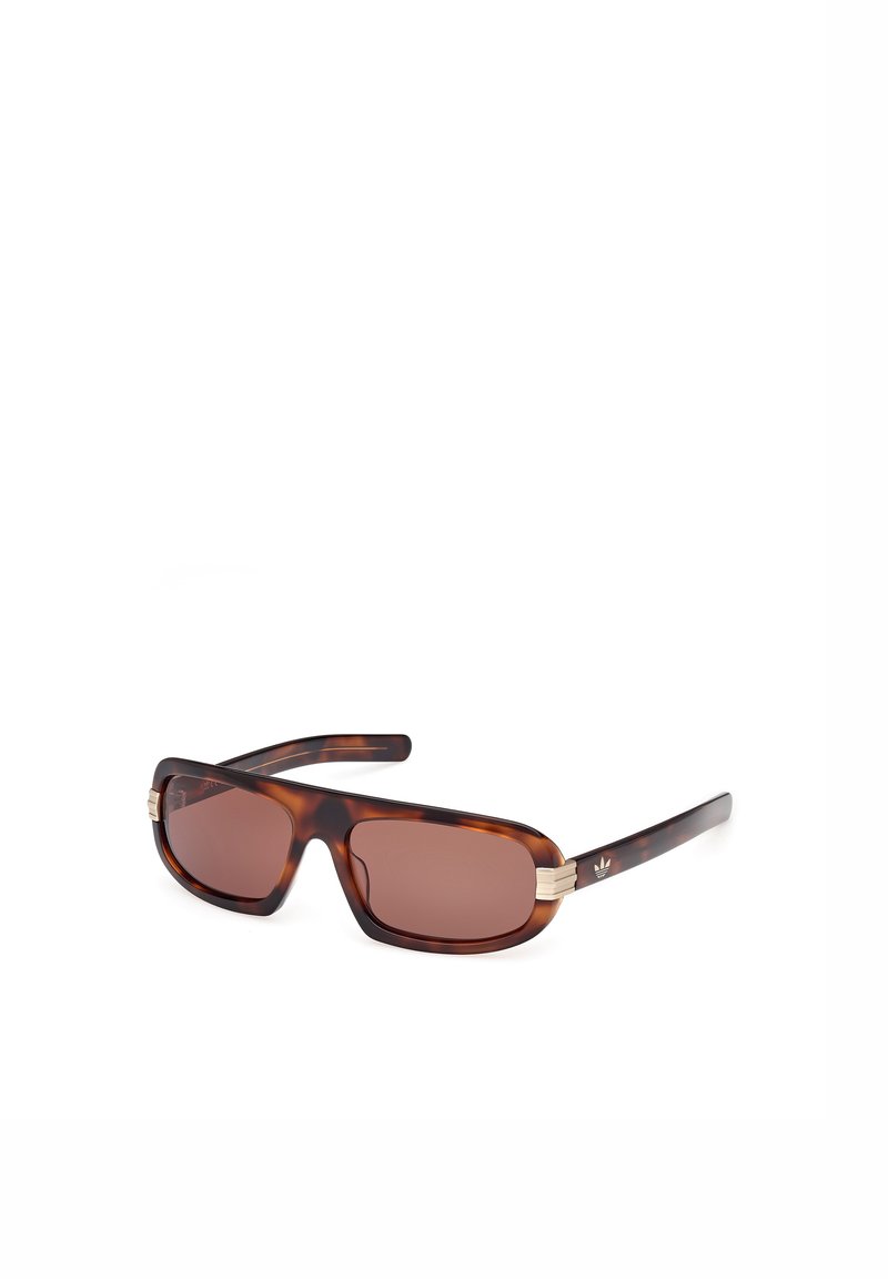 Solsken med en sköldpaddsmönstrad ram, bruna linser och guldtonade detaljer på templen. Rektangulär form, blank yta.