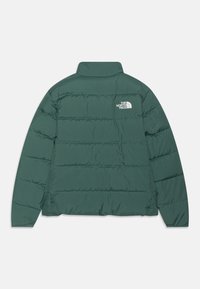 Grön puffjacka med hög krage, horisontell sömnadsdesign och en vit logotyp på övre delen av ryggen. Slät, texturerad tyg.