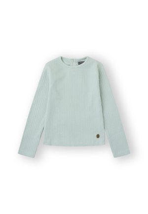 BRAID - Camiseta de manga larga - verde