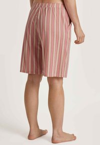 Roze gestreepte shorts met een elastische tailleband, voorzien van verticale strepen in crème en groen. Inclusief zakken en een ontspannen pasvorm.