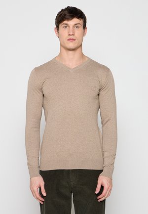 Man draagt een beige V-hals trui en donkere broek, staat voor een effen lichte achtergrond, kijkt recht vooruit met een neutrale uitdrukking.