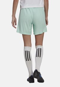 adidas Performance ENT22 SHO LW - Kurze Sporthose - tuerkisweiss