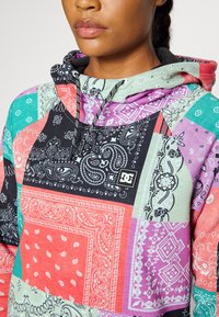 DC Shoes SALEM - Sweatshirt com capuz - multi-coloured