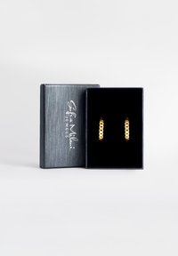 Guldörhängen i en mörk sammetsskyddad låda med ett grått texturerat lock, som har en logotyp. Enkel, cirkulär design med kedjelänk detaljer.