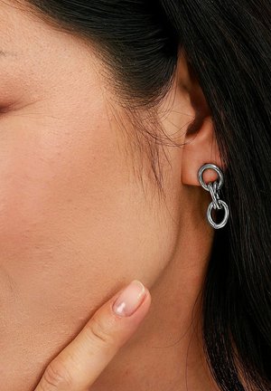 FAVS BOUCLES - Earrings - argentée couleur