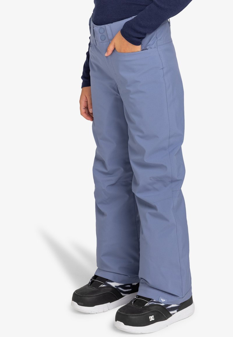 Roxy BACKYARD Snow pants wild wind/purple