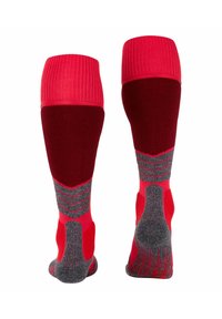 FALKE SK COMFORT - Kniekousen - rose