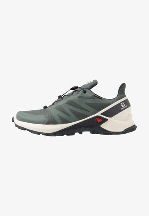 Groene en zwarte trailrunschoen met snelvetersysteem, robuuste zool en witte tussenzool, met Salomon-logo op de hiel.