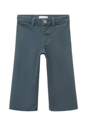 Shorts in denim grigio scuro con taglio dritto, tasche frontali e chiusura con bottone in metallo. Texture liscia e design pulito.