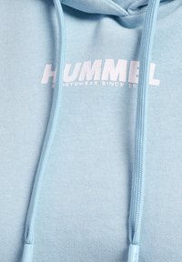 Hellblauer Hoodie mit passenden Kordeln und weißem "HUMMEL" Sportswear-Logo auf der Brust.