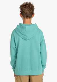 Sudadera con capucha color turquesa de corte relajado, con puños y dobladillo acanalados, fabricada con tejido suave y texturizado, mostrando la vista trasera.