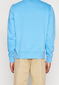 Felpa leggera blu chiaro realizzata in un tessuto morbido, con maniche lunghe e collo rotondo. Design semplice con polsini e fondo a coste.