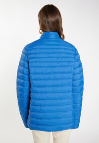 Giacca puffa blu con cuciture orizzontali, colletto alto e superficie liscia. Progettata per offrire calore e una vestibilità casual.