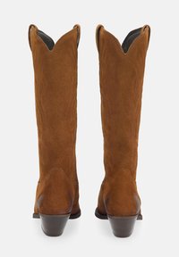 Stivali da cowboy in suede marrone con punta leggermente appuntita, cuciture decorative e tacco impilato moderato; design alto con taglio western.