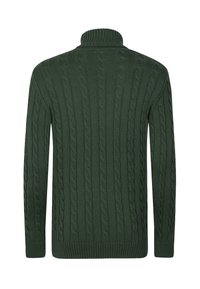 Donkergroene kabelbreiselsweater met een hoge nek, lange mouwen, ribgebreide manchetten en zoom. De textuurpatroon bevat gedraaide kabelontwerpen.