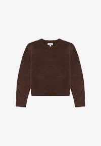 Selected, chocolate lab