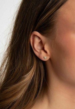 Guldstjärnformade örhänge med flera små ädelstenar, placerade i en kvinnas öra, som visar upp en elegant design mot långt, vågigt hår.