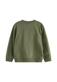 Olivgrüner Sweatshirt mit Rundhalsausschnitt, langen Ärmeln und gerippten Bündchen. Weicher Stoff mit glatter Oberfläche und minimalen Nähten auf der Rückseite.