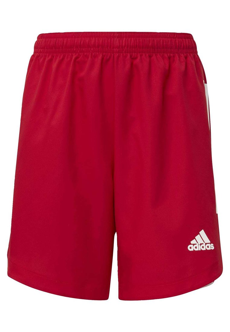 short condivo 20