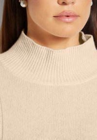 Beiger Rollkragenpullover mit Rippenmuster, der einen hohen Kragen, eine weiche Textur und ein figurbetontes Design aufweist. Er hat eine glatte Oberfläche und dezente Nahtdetails.