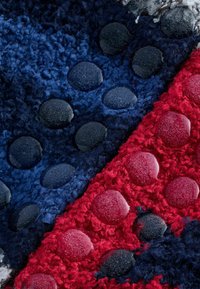 Next COSY 2 PACK - Calze - red star blue stripe