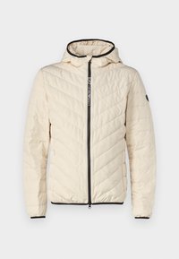 TRAIN PREMIUM  JACKET - Jakna ispunjena paperjem - whitecap/gray