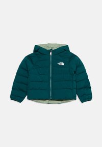 Ikke valgt, pacific teal