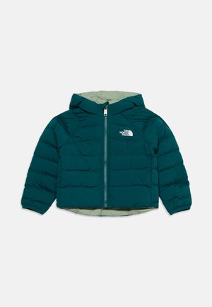 Ľadovomodrá prešívaná kapucňová bunda s predným zipsom a logom The North Face na hrudi, s elastickými manžetami a svetlozelenou vnútornou podšívkou.