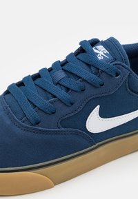 Close-up of blue Nike SB sneaker with textured fabric, suede panels, white swoosh logo, blue laces, and gum rubber sole.