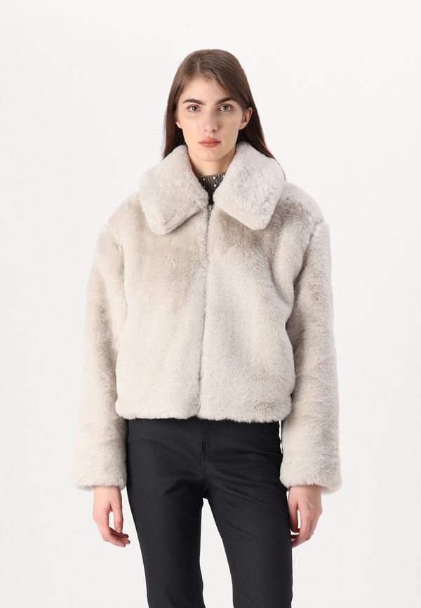 JACKET - Winter jacket - beige