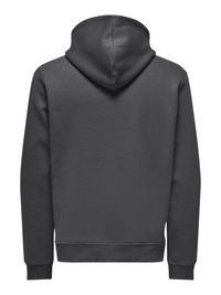 Gray pullover hoodie with a drawstring hood, long sleeves, and ribbed cuffs. Smooth texture, no visible patterns or accents.