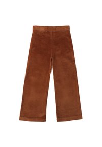 Bruine corduroy wijde broek met verticale ribbels, met een hoge taille en rechte snit. Geen zichtbare hardware of patronen.