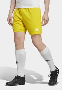 adidas Performance ENTRADA - Korte broeken - yellow