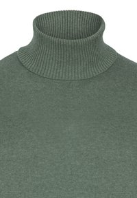 Grüner Rollkragenpullover mit strukturiertem Rippstrick, ausgestattet mit einem hohen Kragen und einem glatten Körper, hergestellt aus weichem Strickstoff.