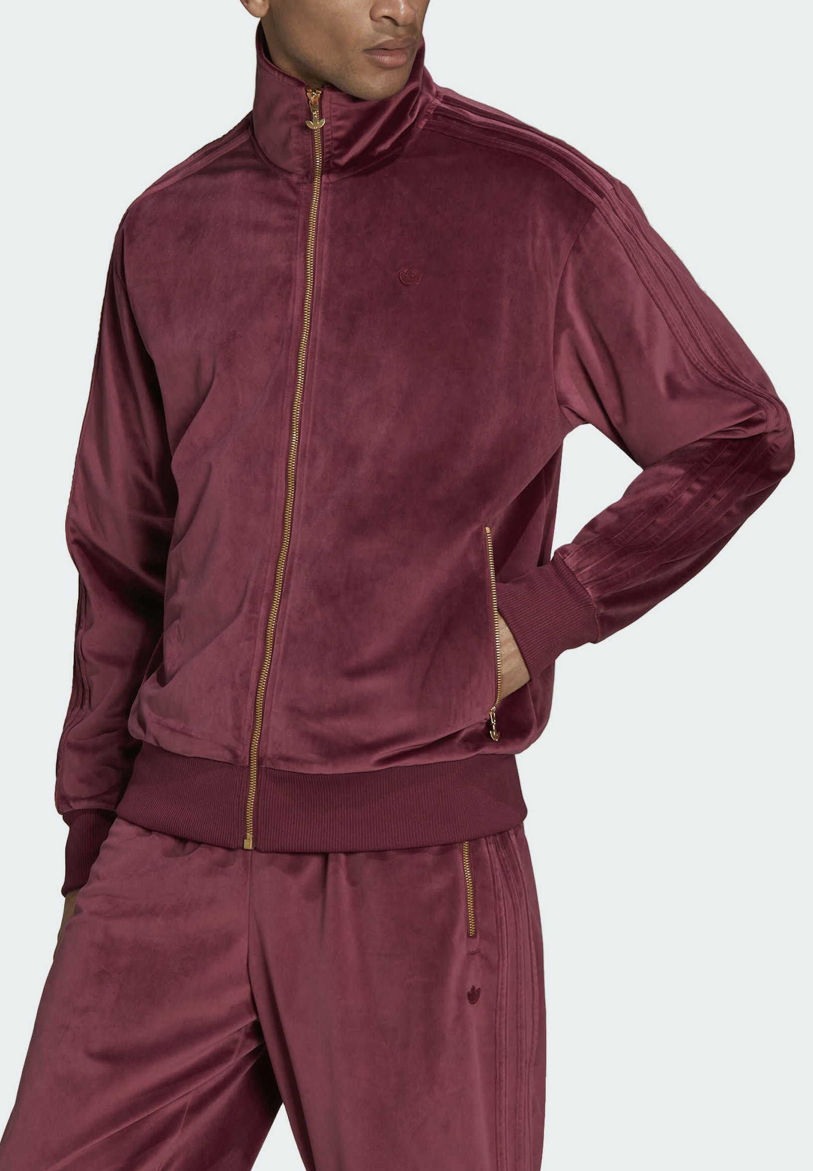 Велюровая олимпийка adidas мужская. Adidas velour олимпийка мужская. Adidas velour. Адидас велюровая. Adidas велюр олимпийка женская.