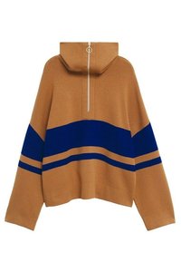 Pull marron avec des rayures horizontales bleues sur la poitrine et les bras, et une fermeture éclair avant avec un anneau près du col montant.