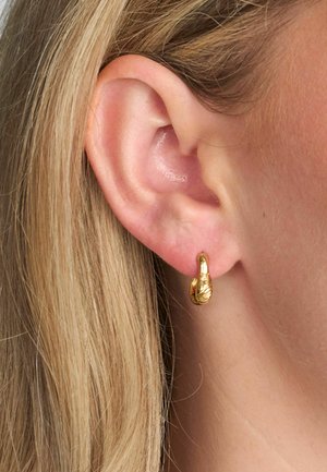 Cercel tip cerc din aur cu suprafață texturată, având un design subtil de frunză. Poartă pe lob, cu lumina reflectându-se pe finisajul său lucios.