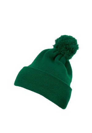 Grønn strikket lue med brett og en fluffy pom-pom på toppen, med et teksturert mønster gjennom hele stoffet.