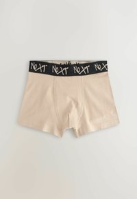 Next 5 PACK  - Onderbroeken - neutral multi colour