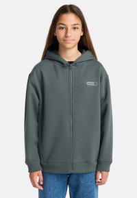 Teenager trägt einen dunkelgrauen Reißverschluss-Hoodie mit einem kleinen "element"-Logo auf der Brust und blaue Jeans, steht vor einem schlichten weißen Hintergrund.